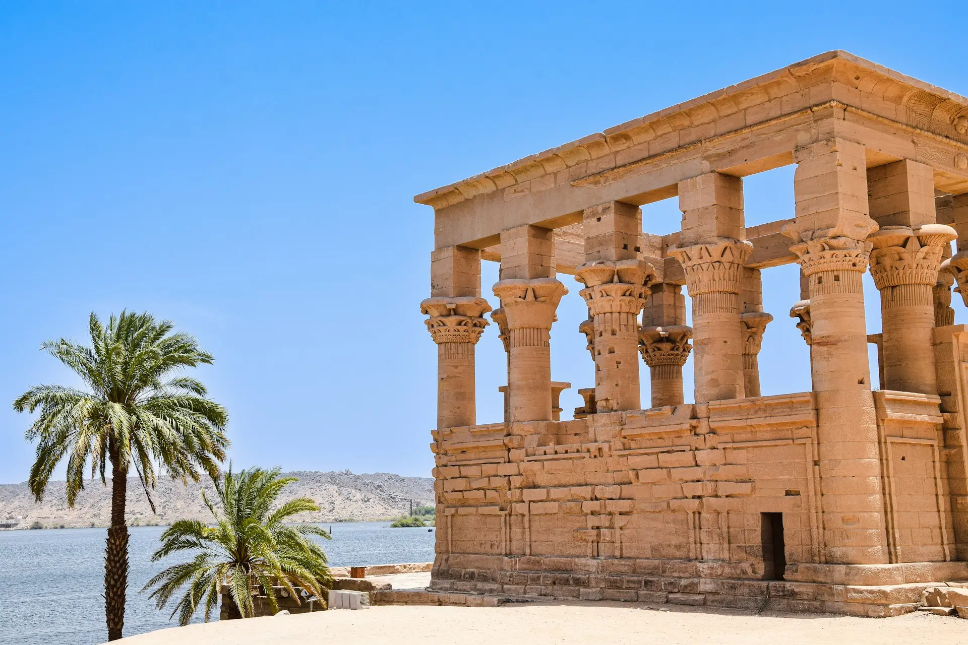 a building with columns and a palm tree in front of it